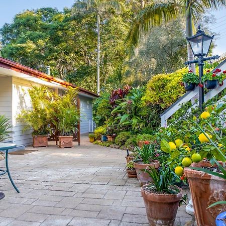 Avocado Sunset Bed & Breakfast Маунт Тамборин Екстериор снимка